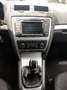 Skoda Octavia Octavia Combi Twenty 1,6 TDI CR DPF 4x4 Twenty Grau - thumbnail 11