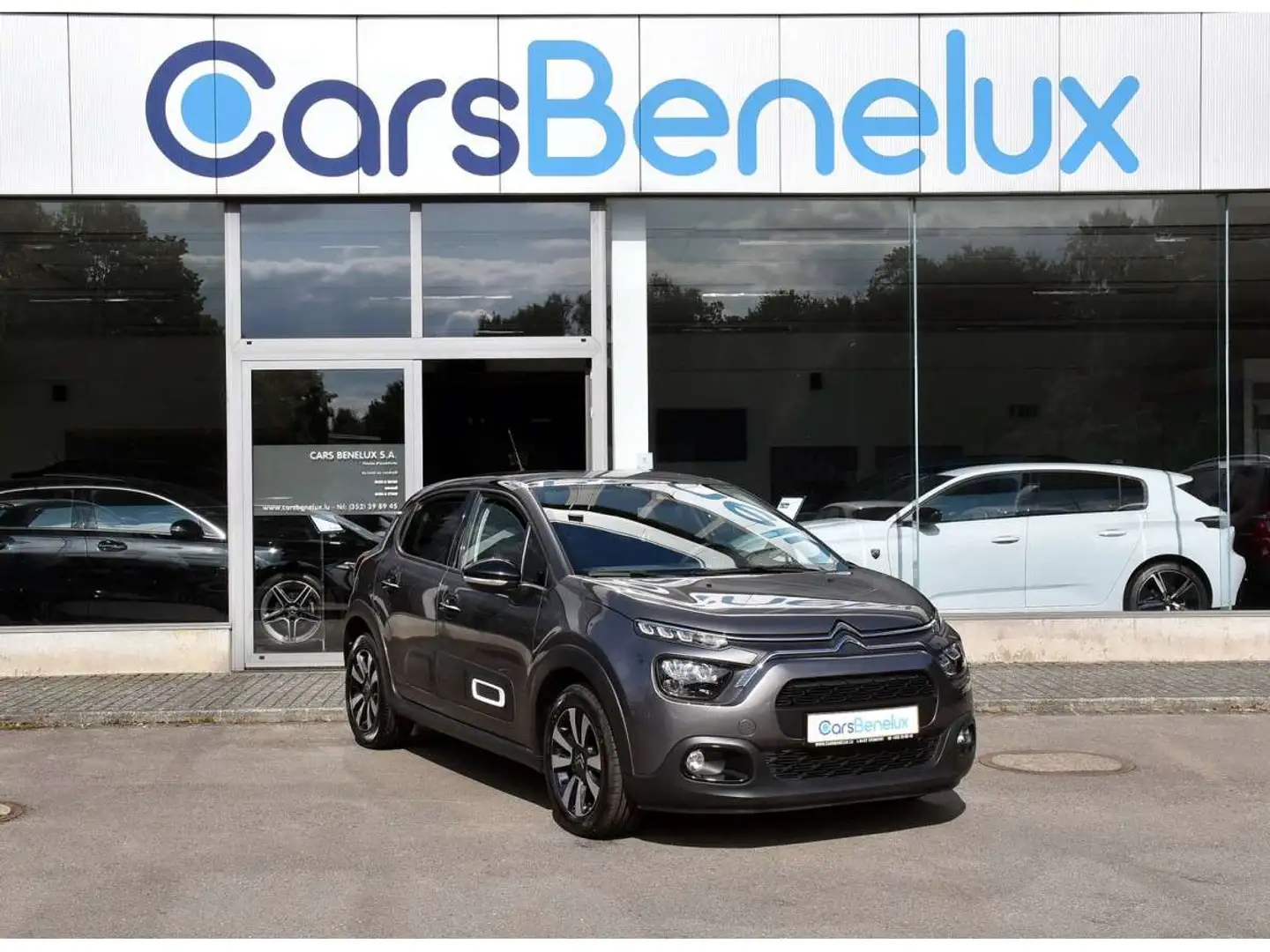 Citroen C3 1.2 PureTech 110 Shine REGUL CAM LANE 1 MAIN Grijs - 1
