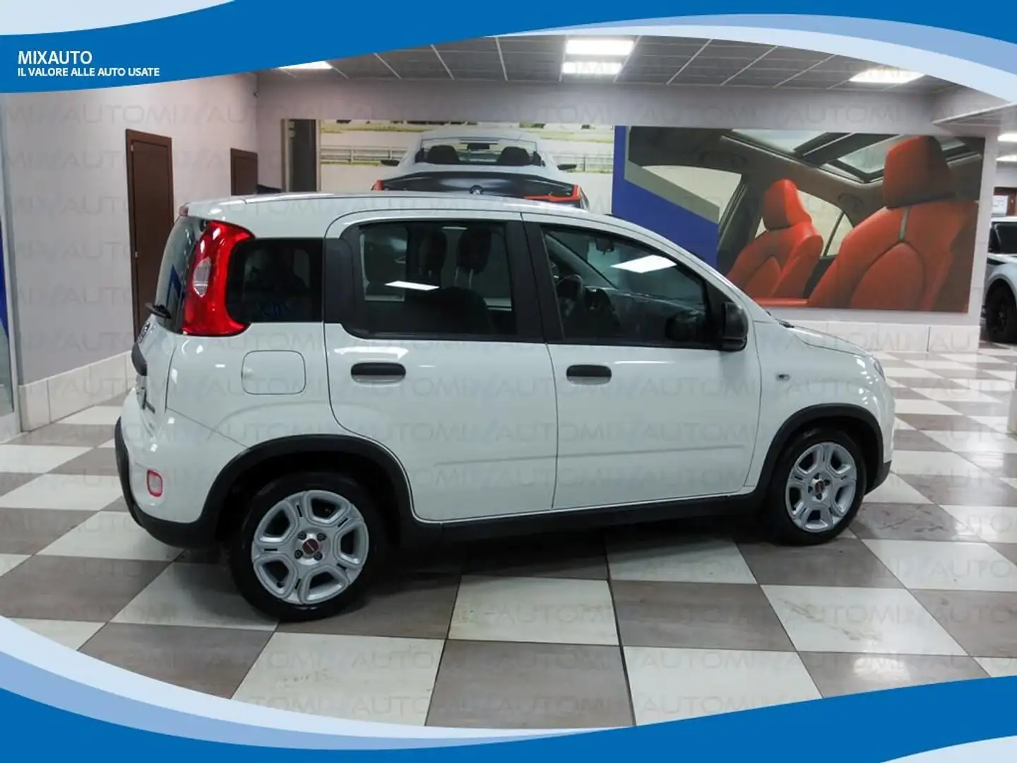 Fiat Panda Hybrid 1.0 FireFly 70cv EU6 Bianco - 2