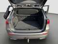 Mercedes-Benz B 220 d Autom. AMG Line AHK Premium Gris - thumbnail 22