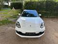 Porsche Panamera Sport Turismo 2.9 4 E-Hybrid 10 Years Edition Белый - thumbnail 4