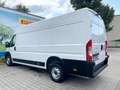 Fiat Ducato Maxi 35 140 L5H2 ERST 21TKM*UNFALLFREI Weiß - thumbnail 7