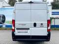Fiat Ducato Maxi 35 140 L5H2 ERST 21TKM*UNFALLFREI Weiß - thumbnail 6