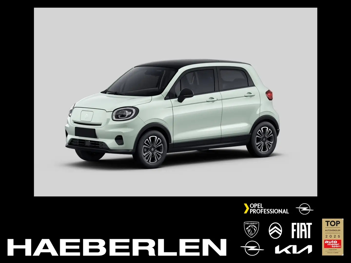 Leapmotor T03 37,3kWh *NAVI*Rückfahrkamera* Matrix+ACC+SD Grün - 1