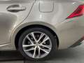 Lexus IS 300 300h Executive Gris - thumbnail 12