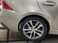 Lexus IS 300 300h Executive Gris - thumbnail 11