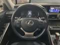 Lexus IS 300 300h Executive Gris - thumbnail 23