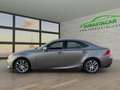 Lexus IS 300 300h Executive Gris - thumbnail 36