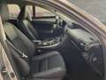 Lexus IS 300 300h Executive Gris - thumbnail 18