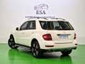 Mercedes-Benz ML 300 Classe M - W164 (280) cdi be Premium auto FL Bianco - thumbnail 3
