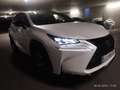 Lexus NX 300h F Sport Hybrid Aut. - thumbnail 17