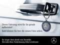 Mercedes-Benz EQA 250 PROG+19"+PLUS-PAKET+360+MEMORY+HUD+KEYLESS Grau - thumbnail 1