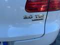 Volkswagen Tiguan Tiguan 2.0 tdi Sport 4 motion interno pelle Blanc - thumbnail 16