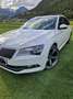 Skoda Superb Kombi 2,0 TDI 4x4 Style DSG Weiß - thumbnail 4