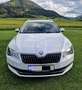 Skoda Superb Kombi 2,0 TDI 4x4 Style DSG Weiß - thumbnail 3