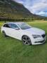 Skoda Superb Kombi 2,0 TDI 4x4 Style DSG Weiß - thumbnail 1