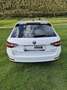 Skoda Superb Kombi 2,0 TDI 4x4 Style DSG Weiß - thumbnail 7