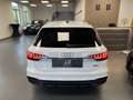 Audi A4 40 2.0 TFSI Q IBIS BLACK MATRIX AHK STDHZ Weiß - thumbnail 10