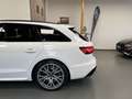 Audi A4 40 2.0 TFSI Q IBIS BLACK MATRIX AHK STDHZ Weiß - thumbnail 13