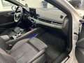 Audi A4 40 2.0 TFSI Q IBIS BLACK MATRIX AHK STDHZ Weiß - thumbnail 24