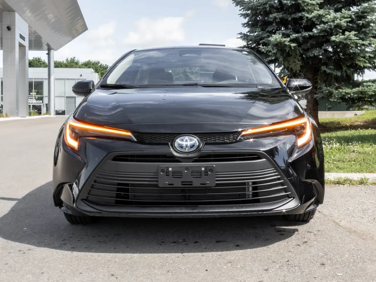 Toyota Corolla photo Toyota Corolla