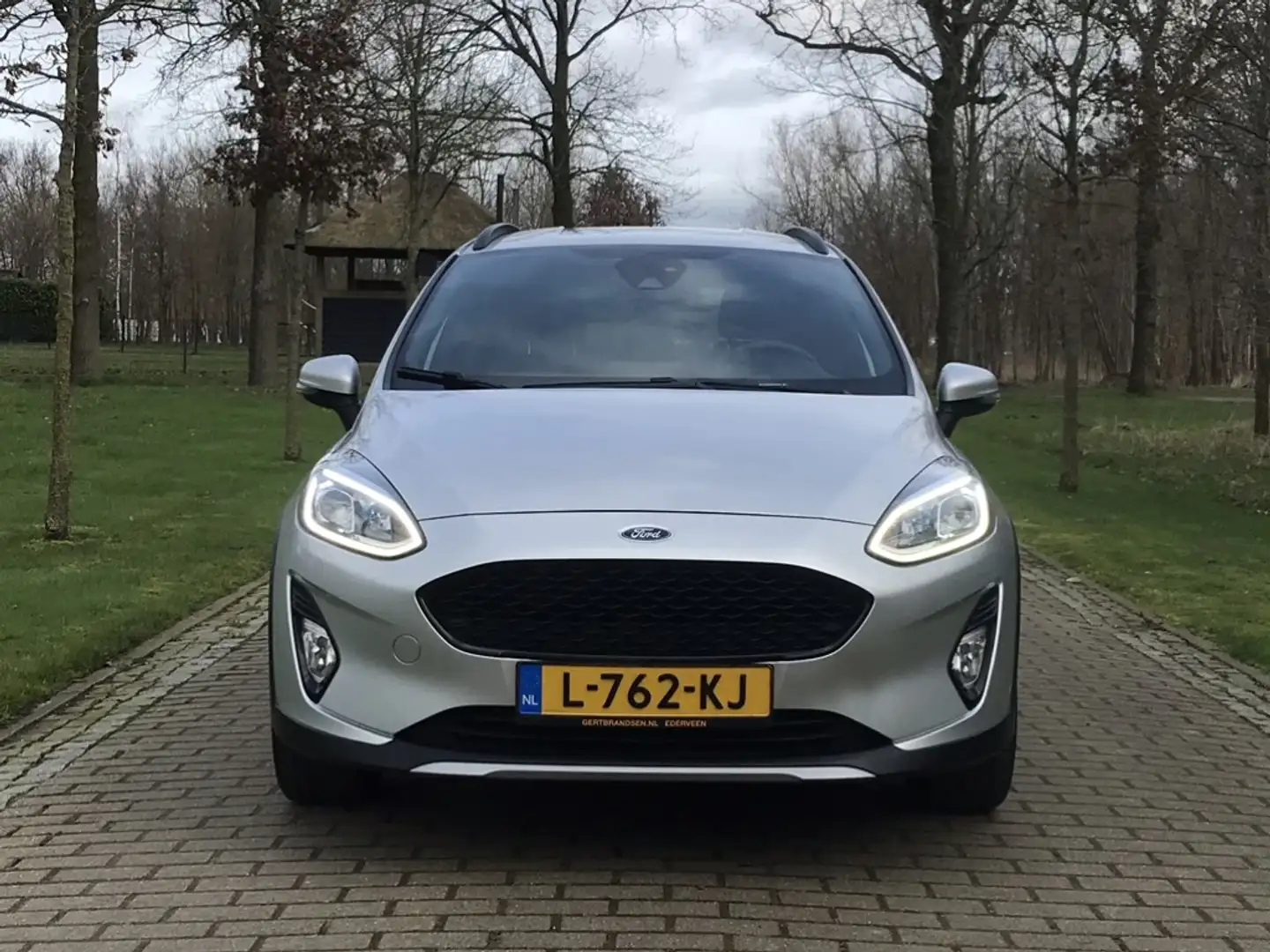Ford Fiesta 1.0 EcoBoost Active X Gris - 2