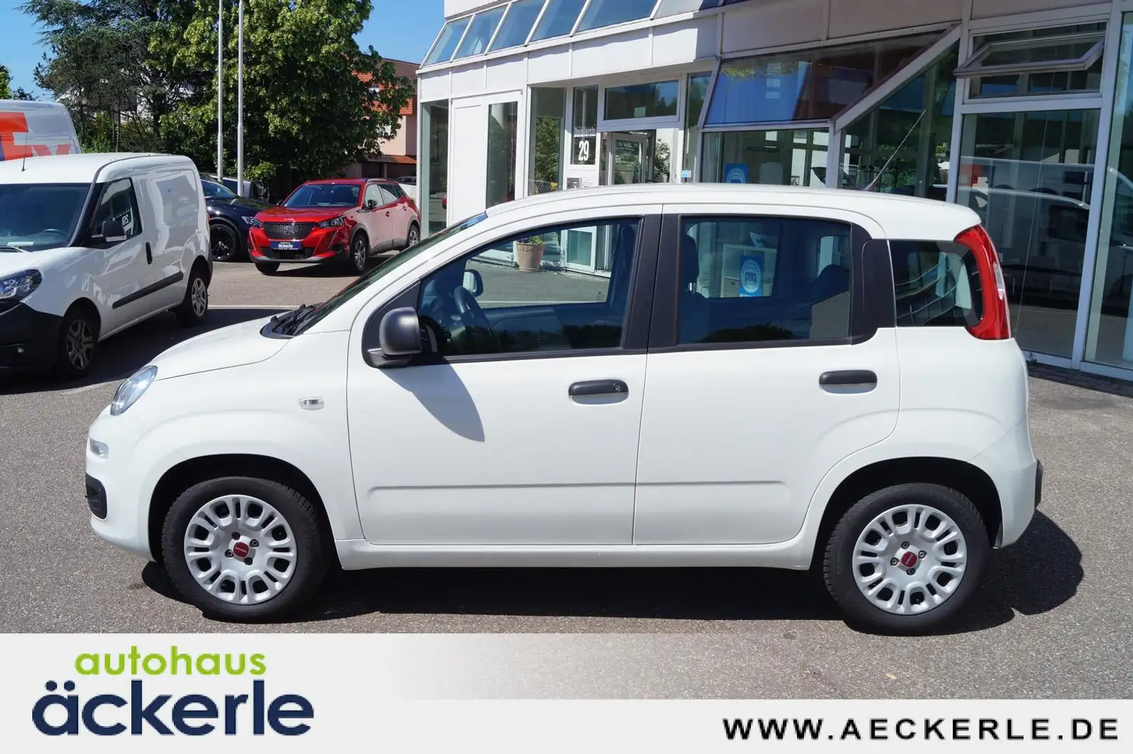 Fiat Panda Easy Klima I Isofix I HU+AU neu I Bianco - 2