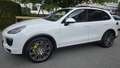 Porsche Cayenne II S PHEV Hybrid Aut. - thumbnail 2