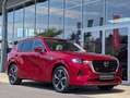 Mazda CX-60 3.3L e-SKYACTIV D 254ps 8AT AWD TAKUMI Rot - thumbnail 9