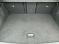 Volkswagen T-Roc 2.0 TDI DSG R-LINE 5JG+LEDplus+NAV+ACC+AHK Weiß - thumbnail 14