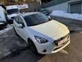 Mazda 2 G90 Takumi bei Finanzierung Zinssatz fix 6,274% Weiß - thumbnail 13