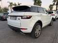 Land Rover Range Rover Evoque Range Rover Evoque 2.0 TD4 180 CV Convertibile HS Bianco - thumbnail 3