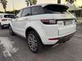 Land Rover Range Rover Evoque Range Rover Evoque 2.0 TD4 180 CV Convertibile HS Bianco - thumbnail 4