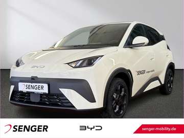 Surf Comfort Leder ACC LED Carplay 360°K