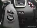 Nissan Qashqai 1.5dCi Acenta 4x2 Burdeos - thumbnail 28
