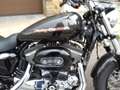 Harley-Davidson Sportster 1200 Bronze - thumbnail 3