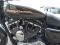 Harley-Davidson Sportster 1200 Bronze - thumbnail 13