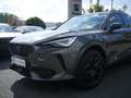 CUPRA Formentor 2.0 TSI VZ Tribe Edition MATRIX PAN Grau - thumbnail 25