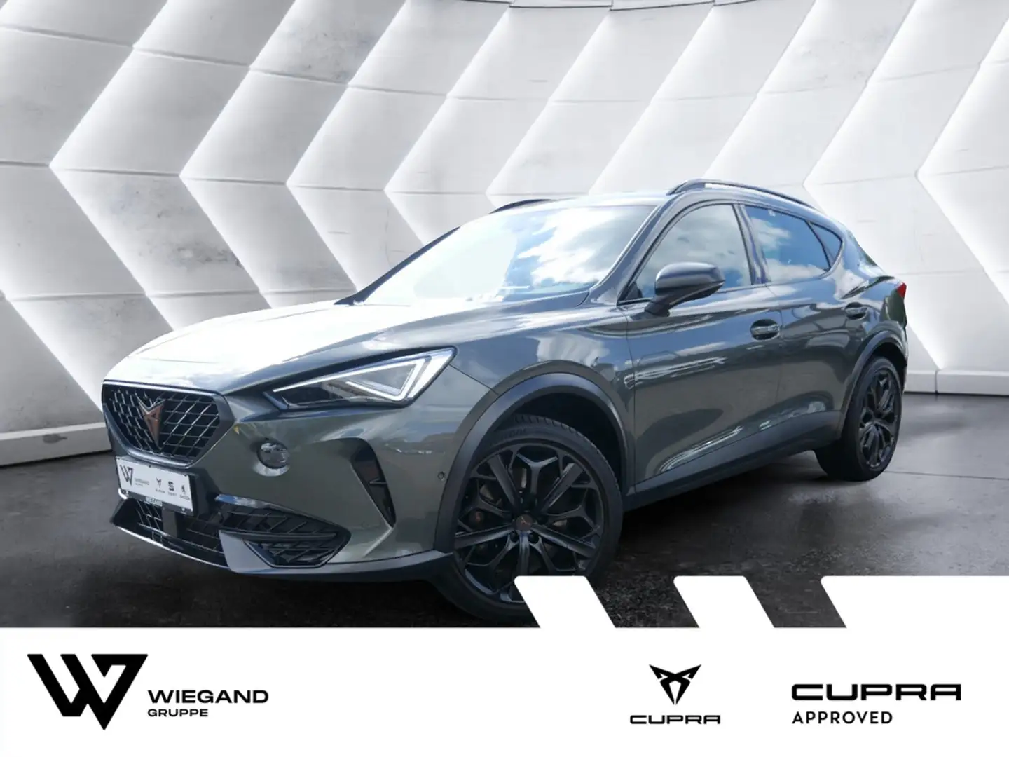 CUPRA Formentor 2.0 TSI VZ Tribe Edition MATRIX PAN Grau - 1
