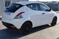 Lancia Ypsilon 1.2 69 CV 5 porte Elefantino Blu Bianco - thumbnail 4