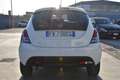 Lancia Ypsilon 1.2 69 CV 5 porte Elefantino Blu Bianco - thumbnail 5