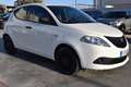Lancia Ypsilon 1.2 69 CV 5 porte Elefantino Blu Bianco - thumbnail 3