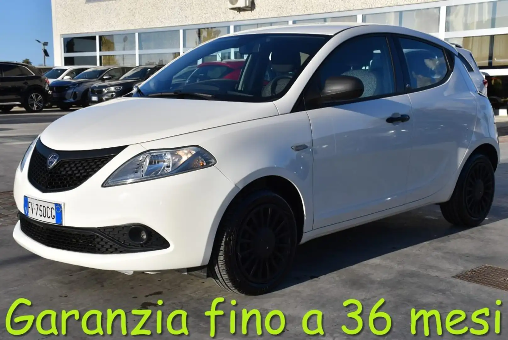 Lancia Ypsilon 1.2 69 CV 5 porte Elefantino Blu Bianco - 1