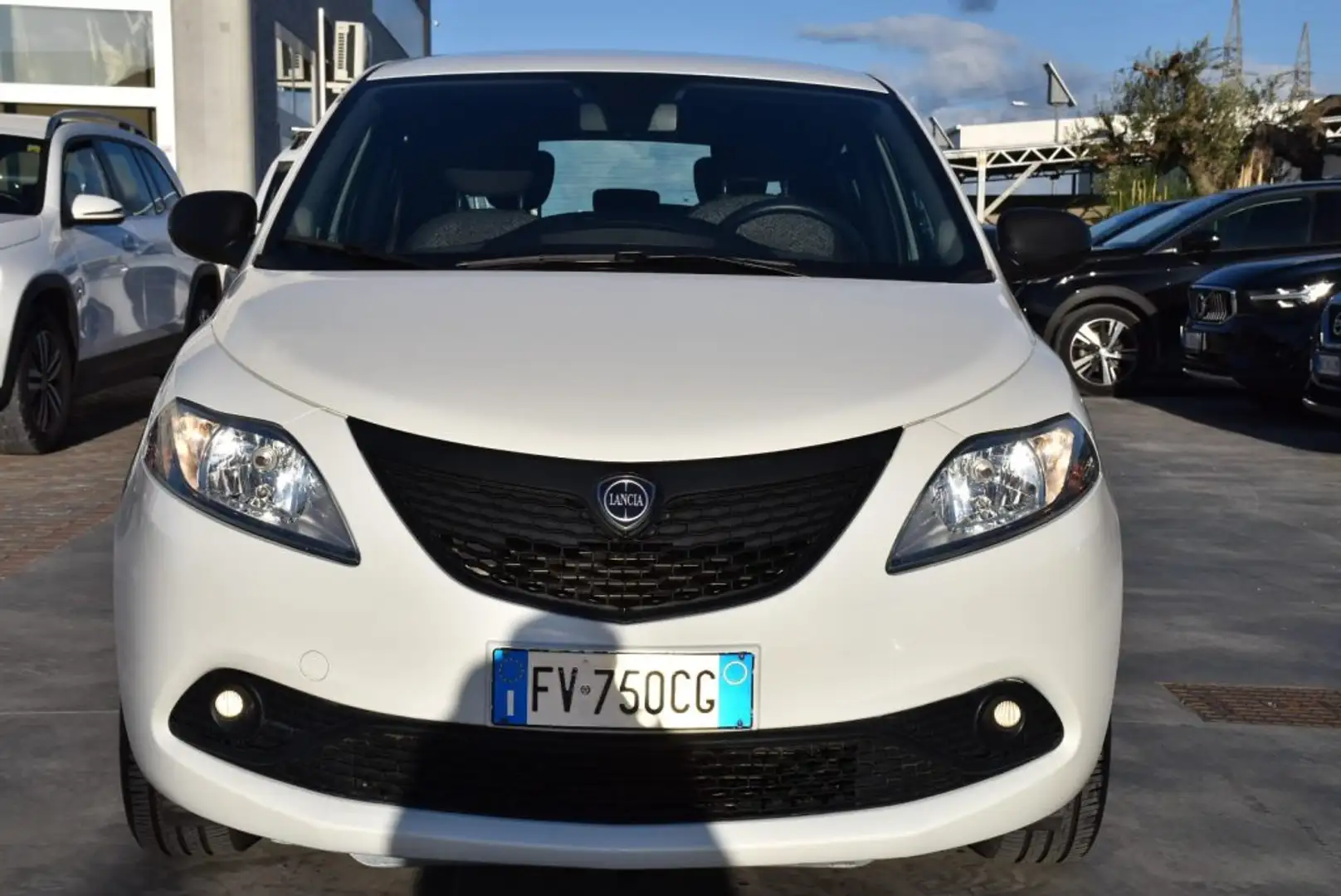 Lancia Ypsilon 1.2 69 CV 5 porte Elefantino Blu Bianco - 2