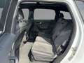 Audi Q7 50TDI quattro S line Matrix Pano 7-Sitze AHZV Weiß - thumbnail 9