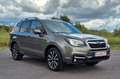 Subaru Forester 2.0X Platinum, Navi, Kamera. Maro - thumbnail 7