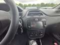 Fiat Punto Punto 5p 1.4 natural power Street 70cv E6 Blu/Azzurro - thumbnail 2