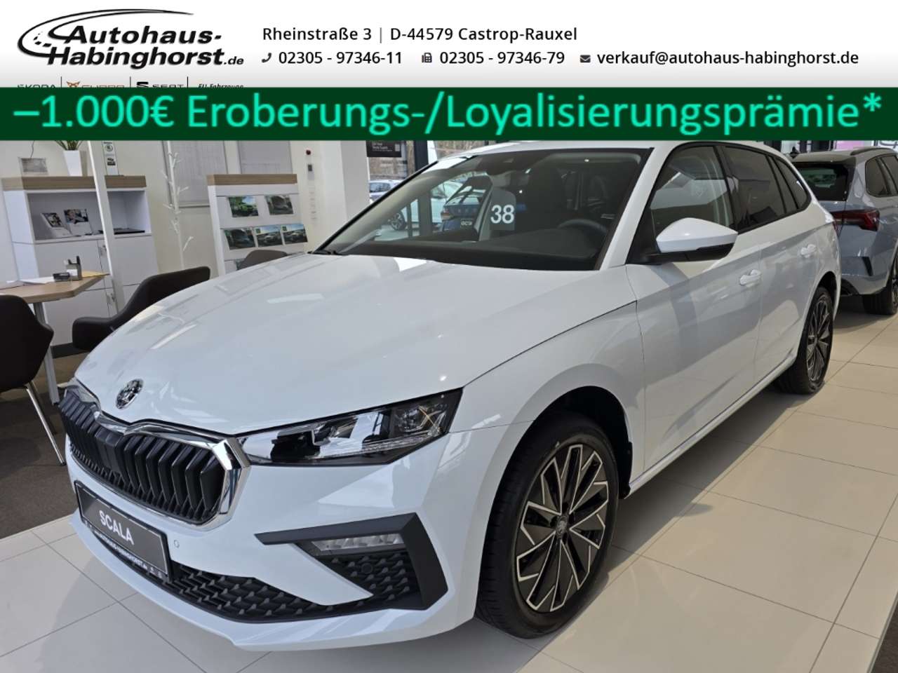 Skoda Scala 2025 — 1.0 TSI DSG Tour Kamera Navi Matrix SmartLink SunS