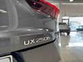 Lexus UX 250h Hybrid PREZZO REALE 16.000 KM! Grau - thumbnail 22