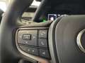 Lexus UX 250h Hybrid PREZZO REALE 16.000 KM! Grau - thumbnail 6